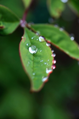 e0305388_8304689.jpg