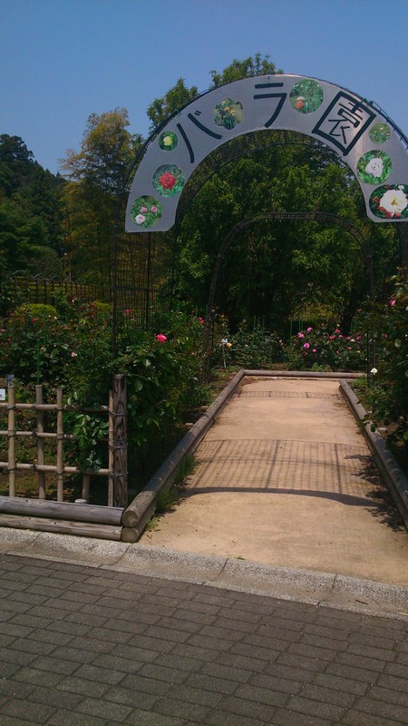 a0007193_11452765.jpg