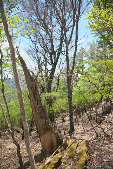 c0278800_12293874.jpg