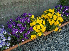 f0055803_16131783.jpg