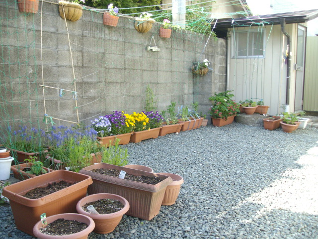 f0055803_165989.jpg