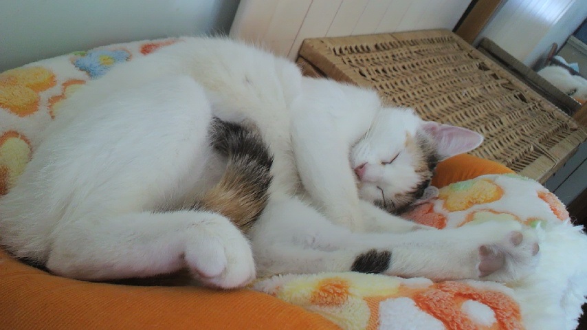 a0177105_20104513.jpg
