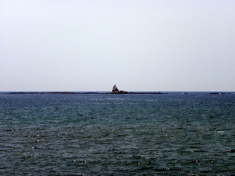 f0224506_17284440.jpg