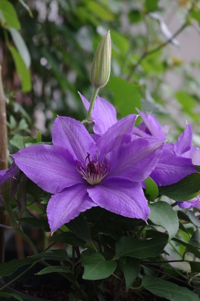 c0147909_23195241.jpg