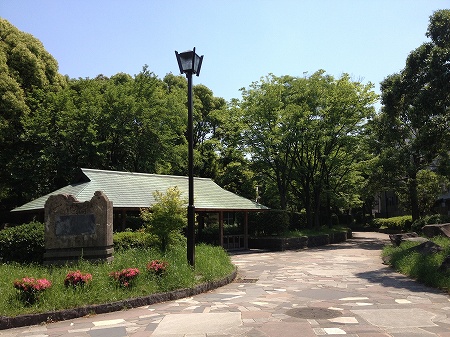 5月17日(金曜日)_a0036513_1053334.jpg