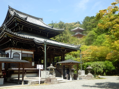 今熊野観音寺 ここも青もみじ_e0048413_2121486.jpg