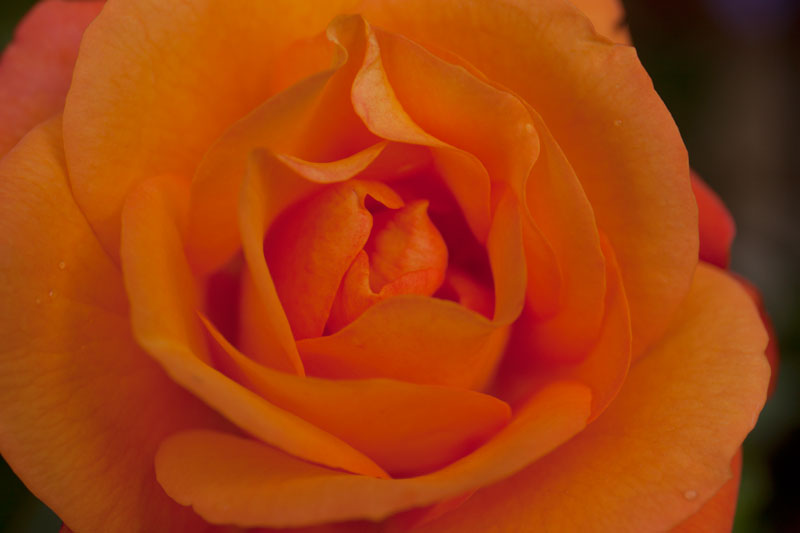 a0278914_14135958.jpg