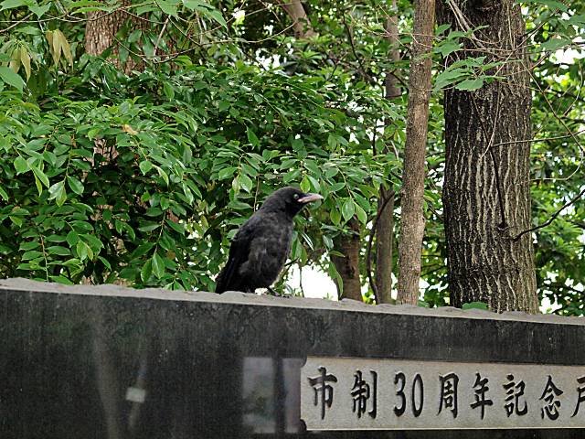 f0051915_22444629.jpg