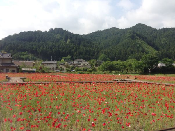 白石一本 ■23分33秒_c0208218_22295243.jpg