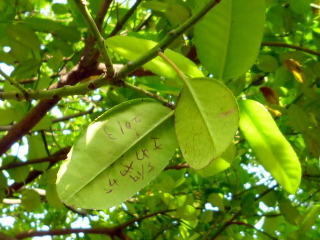 f0235026_23204123.jpg