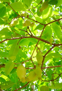f0235026_237131.jpg