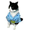 a0098027_21441092.gif