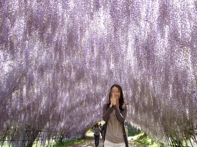 藤は日本一の花_d0159829_16592877.jpg