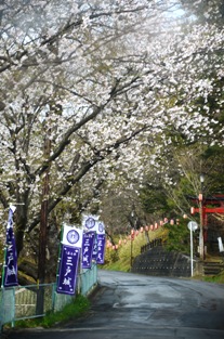 県南花見のたび_c0299631_114417.jpg