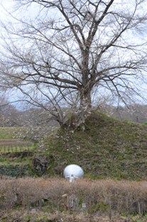 県南花見のたび_c0299631_12133717.jpg