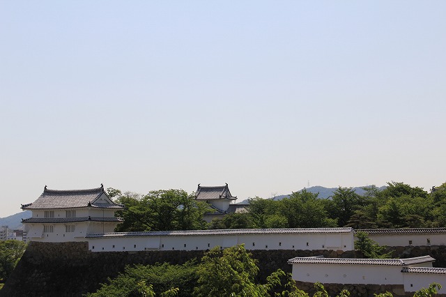 a0045932_19113314.jpg
