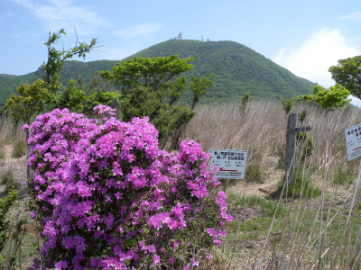 鶴見岳縦走路ミヤマキリシマ３～４分咲き、でも満足でした！_e0272335_5262186.jpg