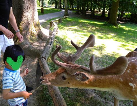 ＜wildpark＞森の中の公園は・・・動物園！_a0289037_37183.jpg