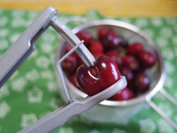 ピスタチオとアメリカンチェリーのケイク フランス菓子ひなた堂 ピスタチオとアメリカンチェリーのケイク フランス菓子ひなた堂