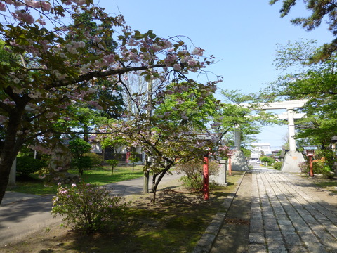 b0238249_21381655.jpg