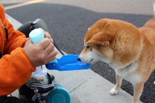 お水は飲んでほしいけど・・・_f0245650_7543747.jpg