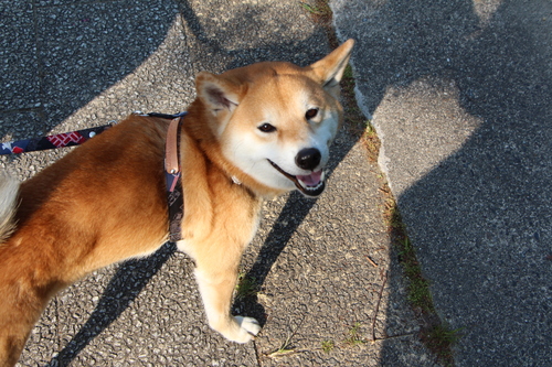 f0245650_801972.jpg