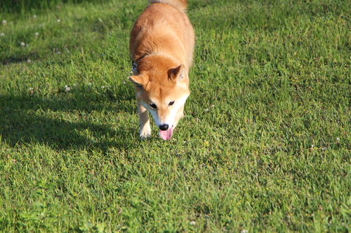 f0245650_812198.jpg