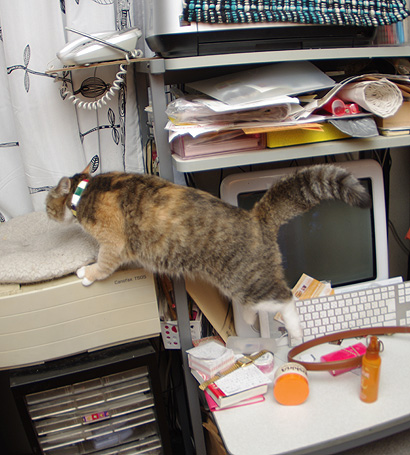 膨張しっぽ_a0028451_12413937.jpg