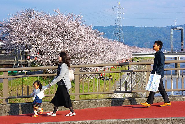 桜撮影会 25.3.31_d0116653_22165811.jpg