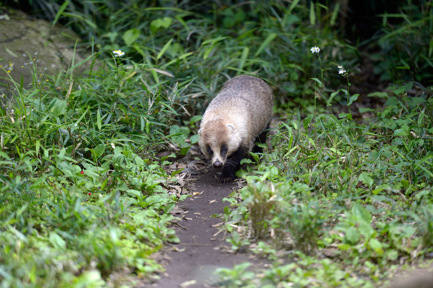 獣道 動物園へ行こう