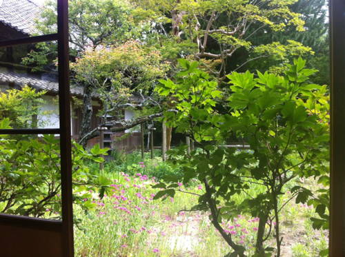 花音（かのん）_c0133561_1362842.jpg