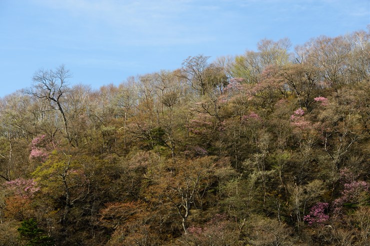 f0222161_1001147.jpg