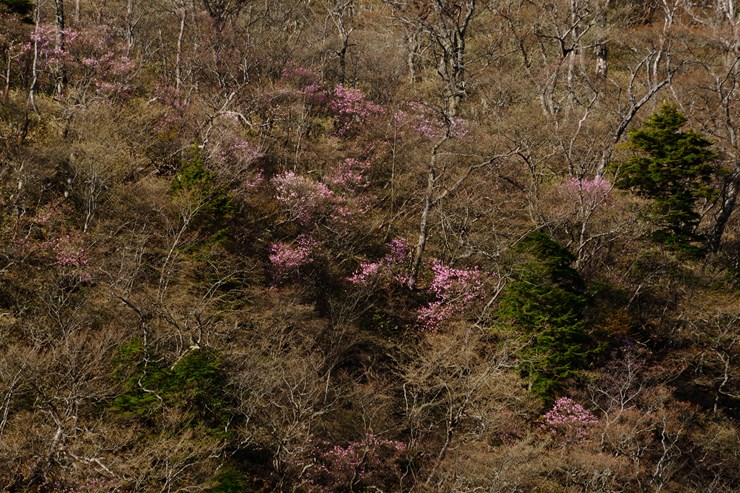 f0222161_9595524.jpg