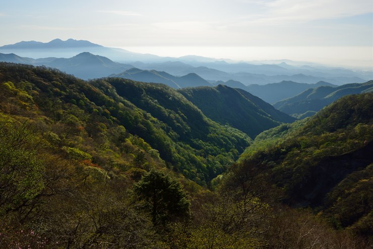 f0222161_9595816.jpg