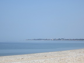 今日のアテンダントは、海岸線を求めて_a0243562_1484961.jpg