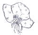 c0241763_23172863.gif