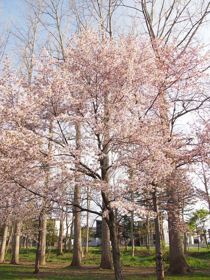 b0281366_15142765.jpg