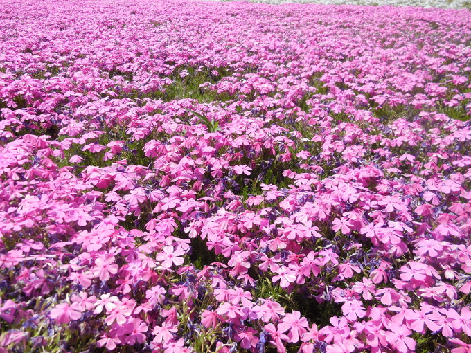 b0286966_2231840.jpg
