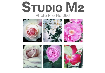 STUDIO M2 Photo File No.096「ROSE+iPhone」_a0002672_1551469.jpg