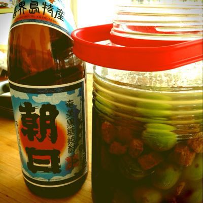 *梅仕事…2013*_e0326573_1652566.jpg
