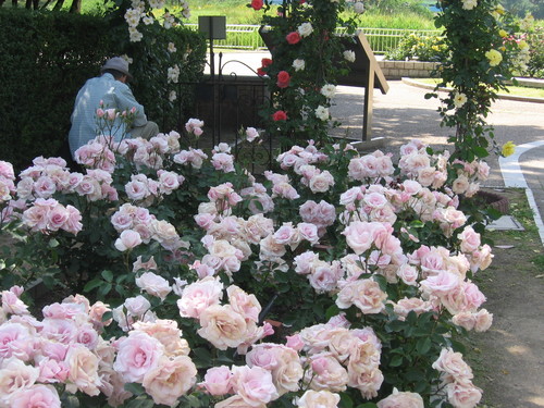 f0259373_2010976.jpg