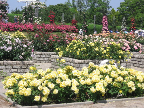 f0259373_2011867.jpg