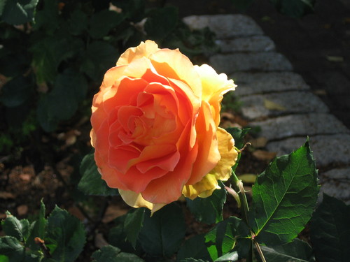 f0259373_20133361.jpg