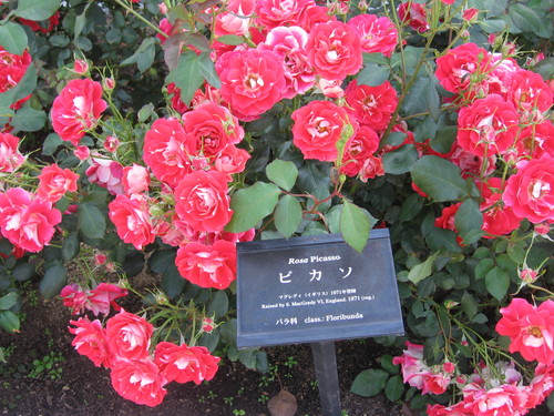 f0259373_2014144.jpg