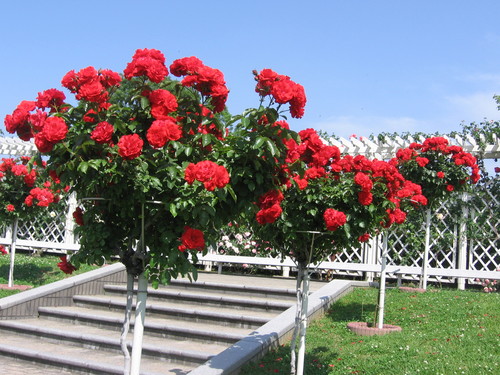 f0259373_20151351.jpg