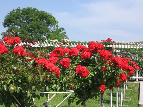 f0259373_20154051.jpg