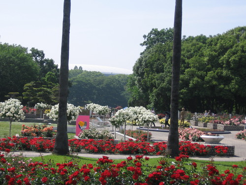 f0259373_20161655.jpg