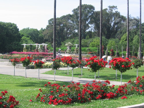 f0259373_20164310.jpg