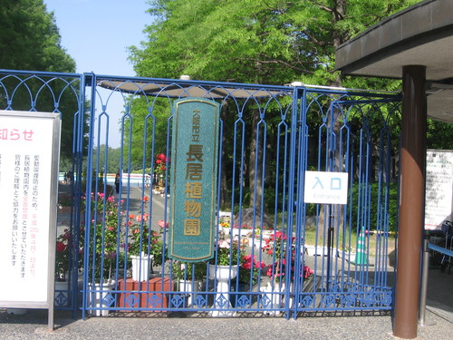 f0259373_2061127.jpg