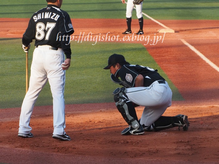 川本良平捕手フォト@神宮5/17　古巣ベンチに笑顔で挨拶_e0222575_10275377.jpg